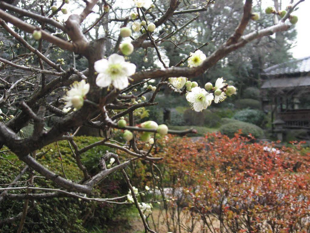 Gosho Nishi Kyoto Heian Hotel Quioto Exterior foto